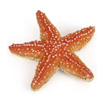 Papo - Фигурка за колекциониране и игра - Морска звезда (56050)