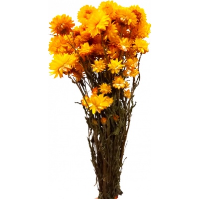 Helichrysum, slaměnka žlutá, svazek 50g