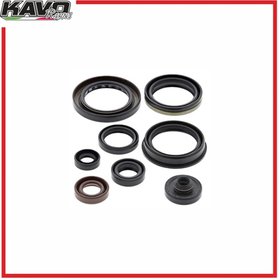 VERTEX PISTONS VERTEX sada gufer motoru KTM, Husqvarna, Gas Gas 250-300cc 2T