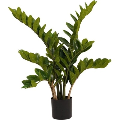 Umelá kvetina Zamiifolia - Zamioculcas, 70cm