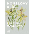 Houslový klíč