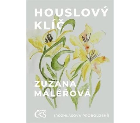 Houslový klíč