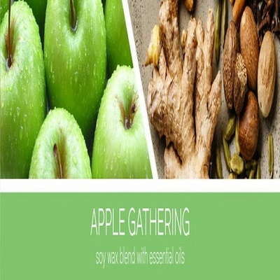 Goose Creek Candle APPLE GATHERING 411 g