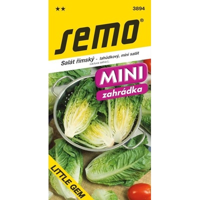 Salát římský Little Gem polní 0,6 g série MINI