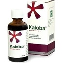 Voľne predajné lieky Kaloba gtt.por.1 x 50 ml