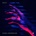 Various: Global Underground: Select 7 CD