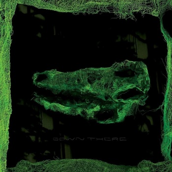 AVEY TARE - Down There LP