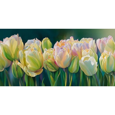 Pole tulipánů 1 deska 100x50
