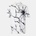 OFF WHITE Рокля OFF WHITE Men's Long-Sleeve Dress Shirt - White/Black