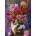 SunsOut - Puzzle Nene Thomas: Cats and Flowers four Chinoiserie - 500 piese