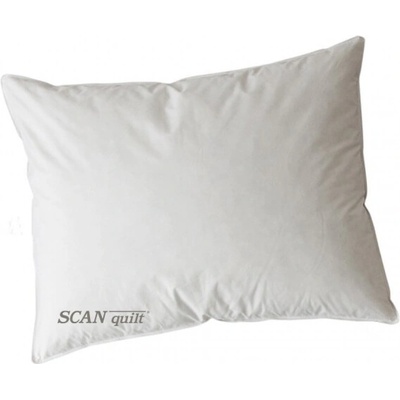 Scan Quilt Vankúš Excelent perie husacie perie a páperie Bavlna 40x40