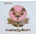 Candylion - Gruff Rhys CD