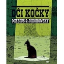 Oči kočky