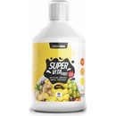 Vitamíny a minerály Czech Virus SuperVita PRO V2.0 500 ml pomaranč