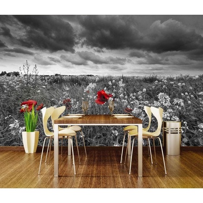 Dimex XL-195 vliesová fototapeta na zeď Poppies black rozměry 330 x 220 cm