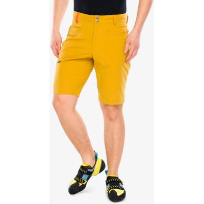 Black Diamond Valley Shorts amber
