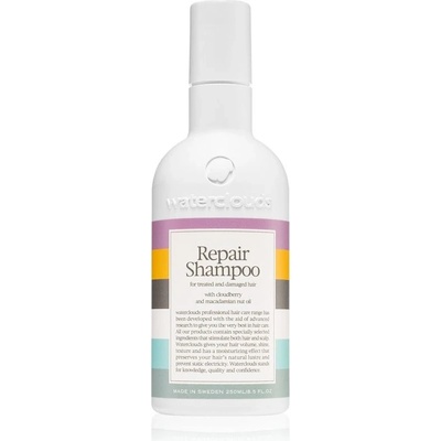 Waterclouds Repair Shampoo 250 ml