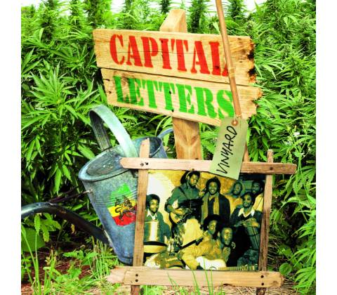 Captial Letters - Vineyard LP