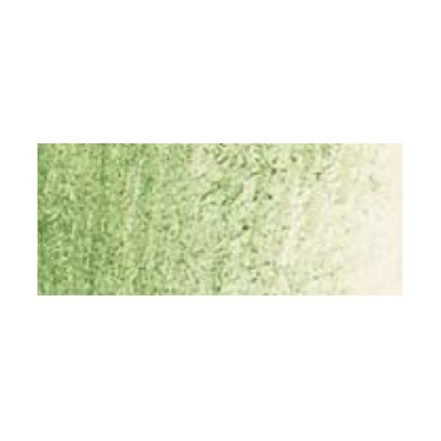 Caran d´Ache akvarelový voskový pastel Neocolor II 212 chromium oxyde green