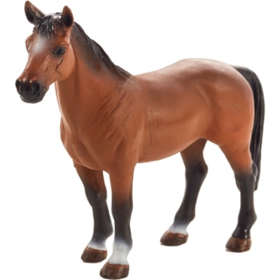 Mojo Моят кон Тракенен