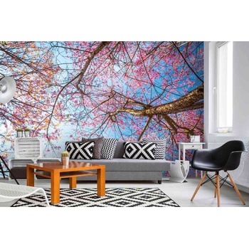 DIMEX ART s. r. o Самозалепваща се флизелинова фототапета цъфтящо черешово дърво 375 x 250 см
