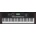 Roland E-X10