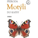 Motýli