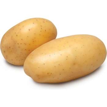 Sadba brambor ADÉLA (pytel 25kg, sadbové brambory)