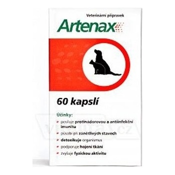 Folio Artenax 60cps