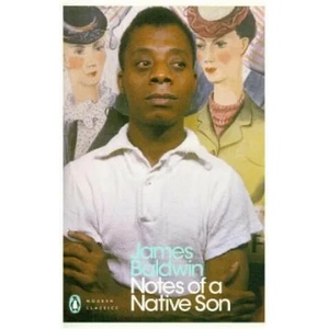 Notes of a Native Son (ISBN: 9780241334003)