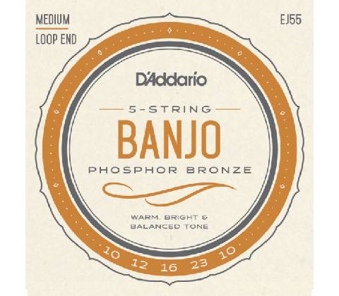 D'Addario EJ55