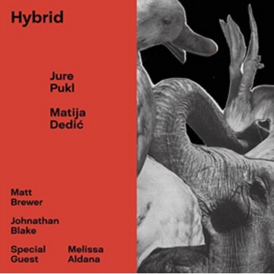 PUKL JURE & MATIJA DEDIC: HYBRID CD