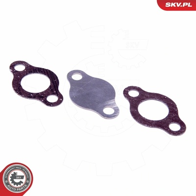 Súprava na opravu, ventil AGR ESEN SKV 14SKV572 14SKV572
