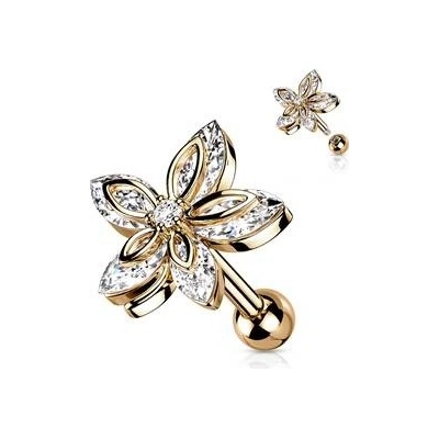 Šperky4U cartilage piercing do ucha CP1086-RD