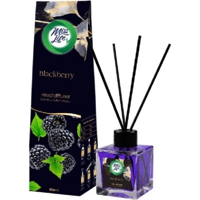 Miss Life Bamboo stick osviežovač 100 ml Blackberry