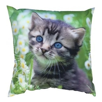 Dadka Foto vankúš Kotě na louce 40x40