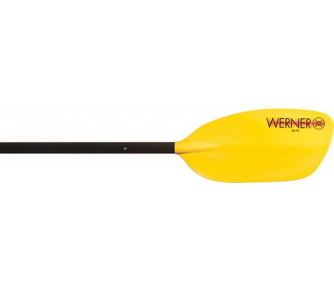 Werner Rio