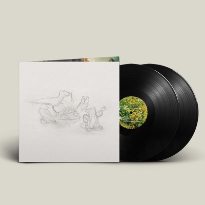 BIG THIEF - Dragon New Warm Mountain I Believe In You LP