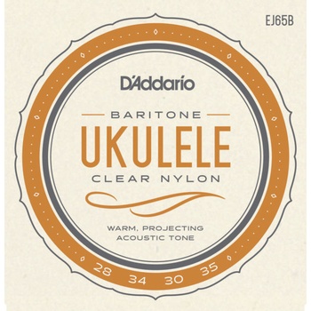 D'Addario EJ65B