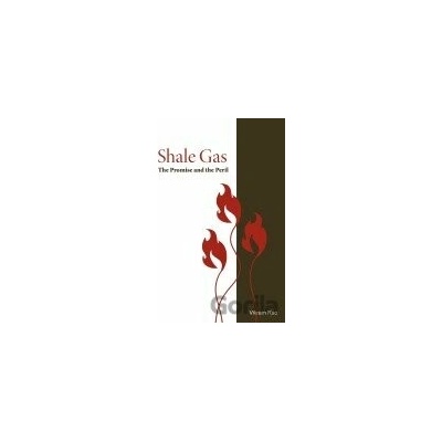 Shale Gas - Vikram Rao