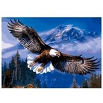 Smart Flamingo Flamingo Line Creative Set Diamond Mosaic 30x40cm Eagle (TGC71267)