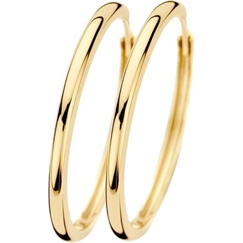 Blush Златни дамски обеци Blush 7311YGO (7311YGO)