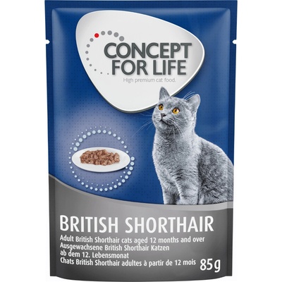 Concept for Life British Shorthair Adult 12 x 85 g
