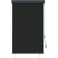 VidaXL Venkovní roleta, 100 x 250 cm, antracitová