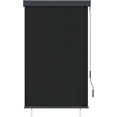 VidaXL Venkovní roleta, 100 x 250 cm, antracitová – Sleviste.cz