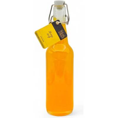 Perfectly Delicious Mango 0,5 l