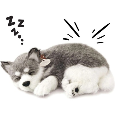 Perfect Petzzz Sibiřský husky 25 cm