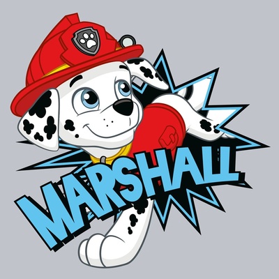 Carbotex magický ručníček Tlapková Patrola Marshall 30 x 30 cm 36ks