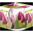BISPOL Tulipán 100g