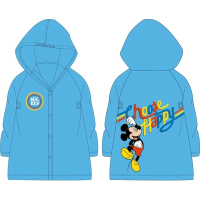 E plus M Mickey Mouse